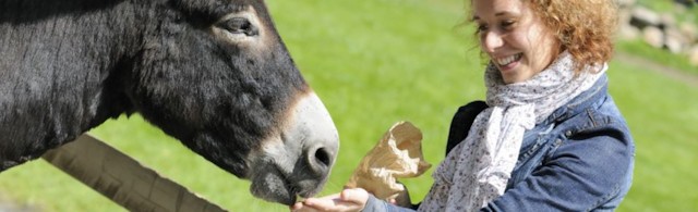Osły, Kleopatra i ja, czyli o działaniu oślego mleka słów kilka