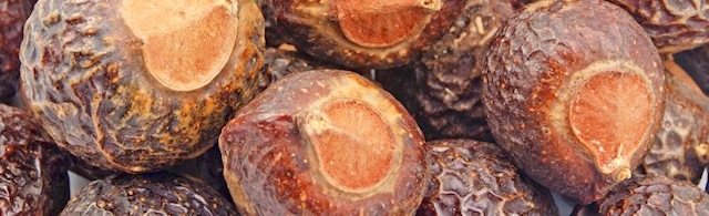 Orzech piorący – naturalna alternatywa dla proszku